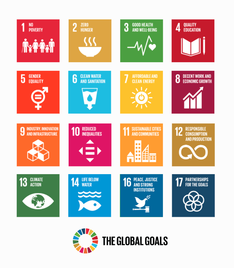 SDGs - A holistic view on sustainability - sineqia sustainability diagnosis