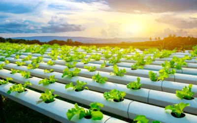 Agricultura 4.0: La revolución digital en el campo